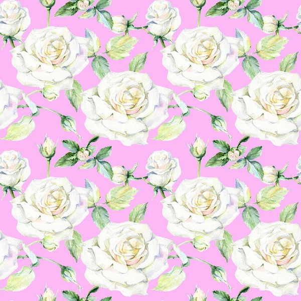 Wildflower rose flower pattern in a watercolor style. — Stock Photo, Image