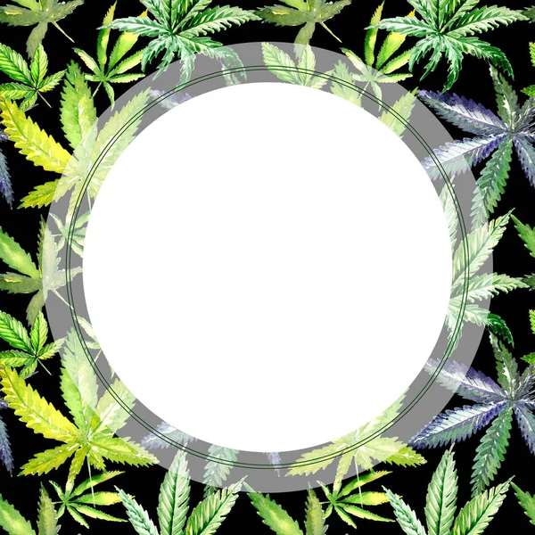 Wildblume Cannabis Blume Rahmen in einem Aquarell-Stil. — Stockfoto