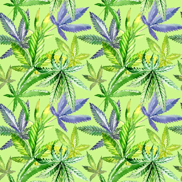 Padrão de flor de cannabis silvestre em um estilo aquarela . — Fotografia de Stock