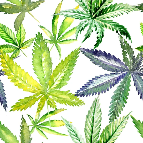 Cannabis-Blütenmuster in einem Aquarell-Stil. — Stockfoto