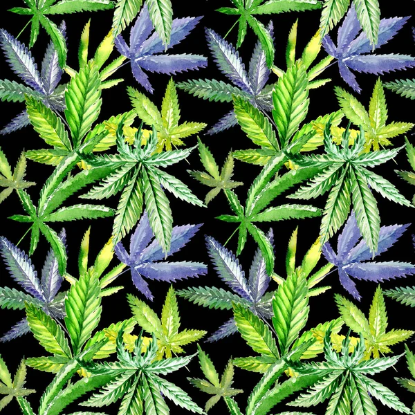 Patrón de flores de cannabis silvestre en un estilo de acuarela . — Foto de Stock