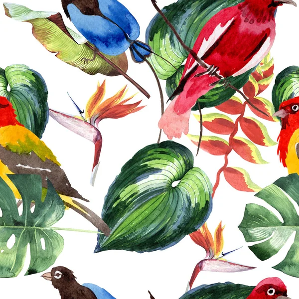 Gökyüzü cennet kuşları desende bir yaban hayatı suluboya stili tarafından.