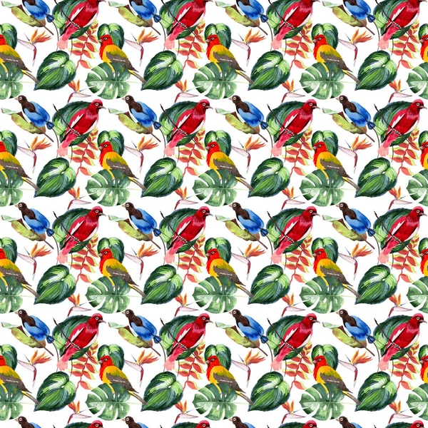 Gökyüzü cennet kuşları desende bir yaban hayatı suluboya stili tarafından.