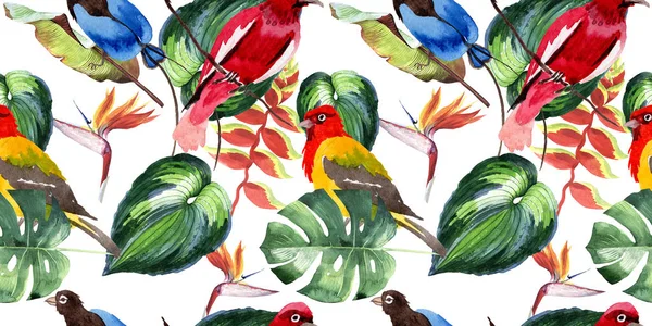 Sky birds of paradise  pattern in a wildlife by watercolor style.
