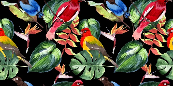 Sky birds of paradise  pattern in a wildlife by watercolor style. — Stock Photo, Image