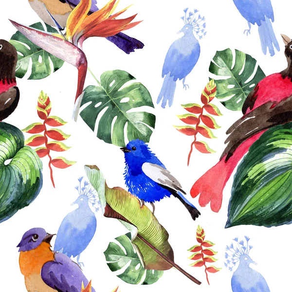 Sky birds of paradise  pattern in a wildlife by watercolor style. — Stock Photo, Image