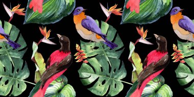 Gökyüzü cennet kuşları desende bir yaban hayatı suluboya stili tarafından.