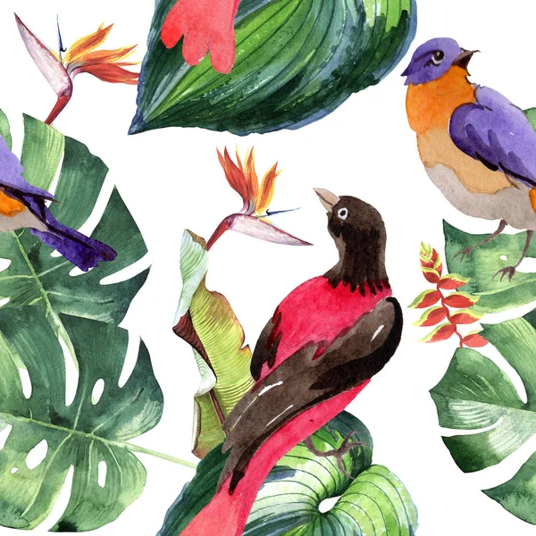 Sky birds of paradise  pattern in a wildlife by watercolor style. — Stock Photo, Image