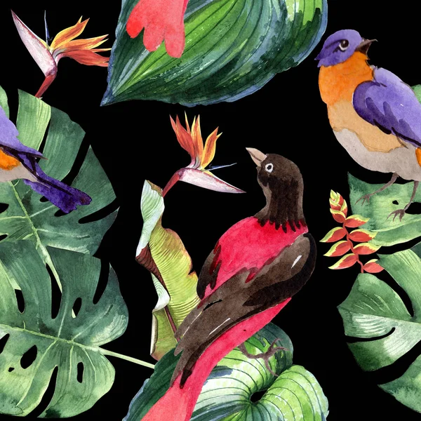 Sky birds of paradise  pattern in a wildlife by watercolor style. — Stock Photo, Image