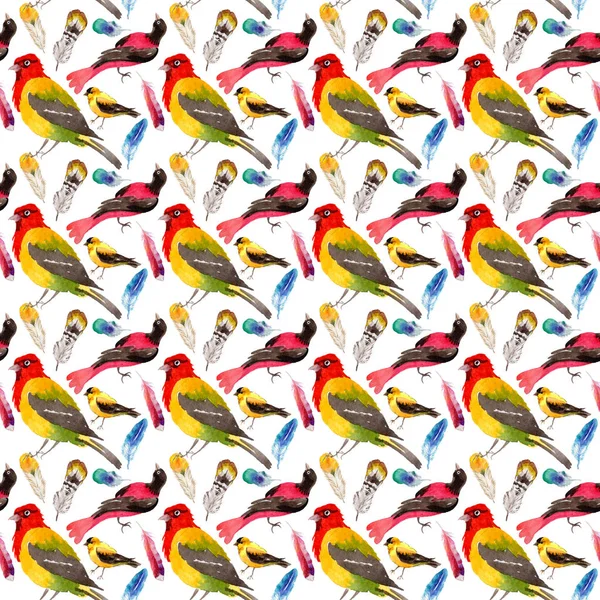 Sky birds of paradise  pattern in a wildlife by watercolor style.