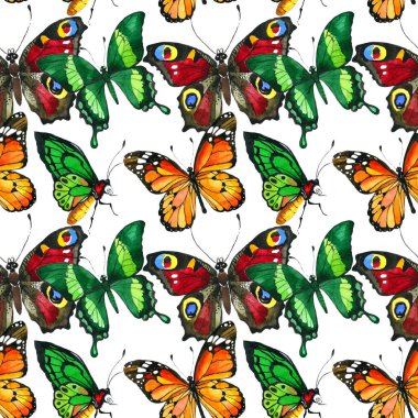 Egzotik kelebek vahşi böcek desen suluboya tarzında.