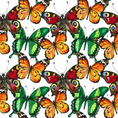 Egzotik kelebek vahşi böcek desen suluboya tarzında.