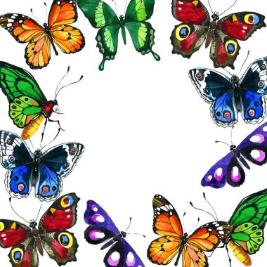 Egzotik kelebek vahşi böcek çerçeve suluboya tarzında.