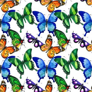 Egzotik kelebek vahşi böcek desen suluboya tarzında.