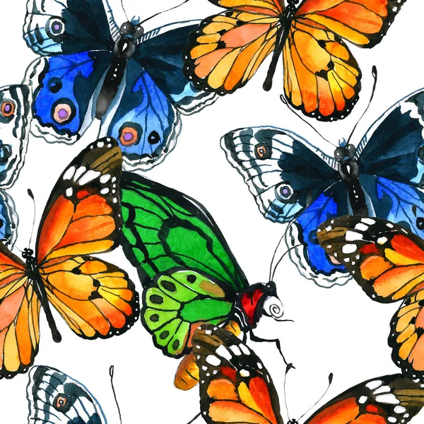 Exotic butterfly wild insect pattern in a watercolor style. — Stock Photo, Image