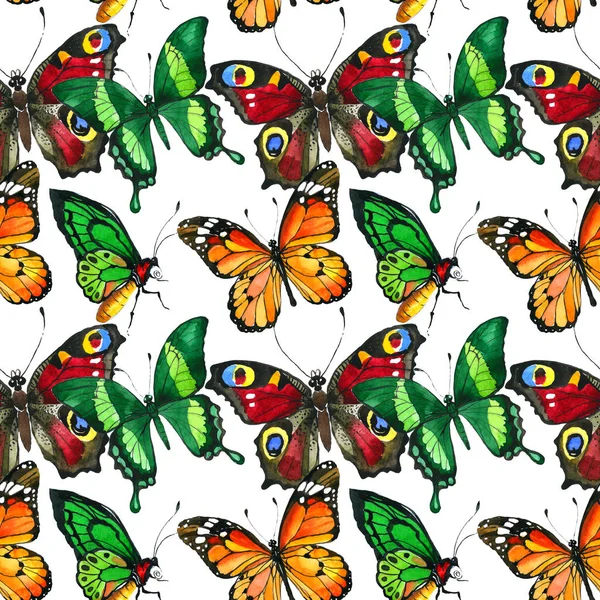 Egzotik kelebek vahşi böcek desen suluboya tarzında.