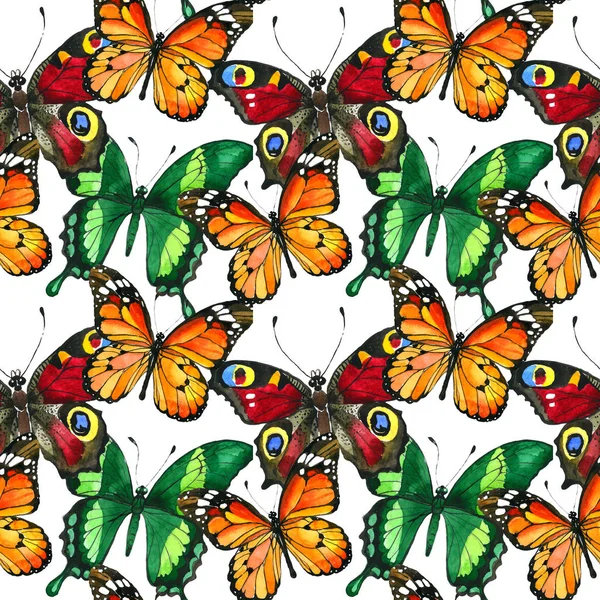 Εξωτικά πεταλούδα άγριων εντόμων μοτίβο σε στυλ υδροχρώματος. — Φωτογραφία Αρχείου