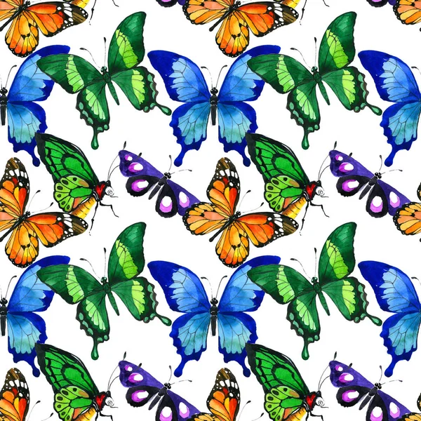 Patrón de insectos salvajes mariposa exótica en un estilo de acuarela . —  Fotos de Stock
