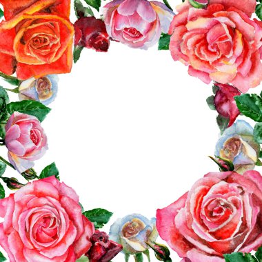 Kır çiçeği gül çiçek çerçeve suluboya tarzında.