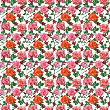 Kır çiçeği gül çiçek deseni suluboya tarzında.