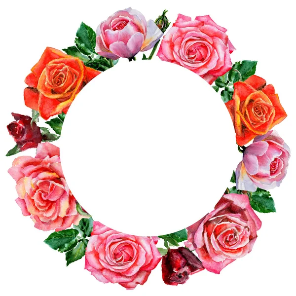 Kır çiçeği gül çiçek çerçeve suluboya tarzında.