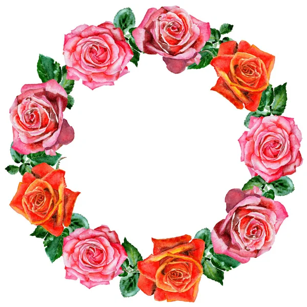 Wildflower rose flower  wreath in a watercolor style. — Stock Photo, Image