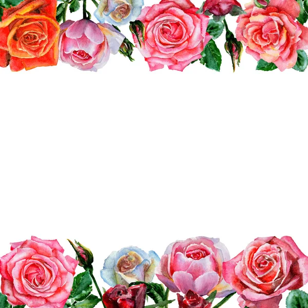 Kır çiçeği gül çiçek çerçeve suluboya tarzında.