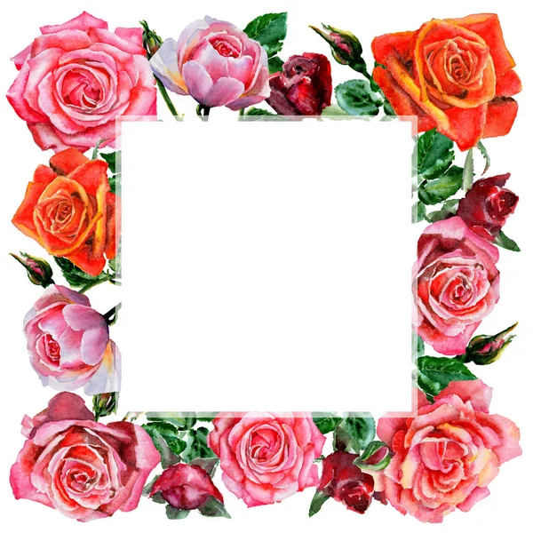 Wildflower rose flower frame in a watercolor style. — Stock Photo, Image