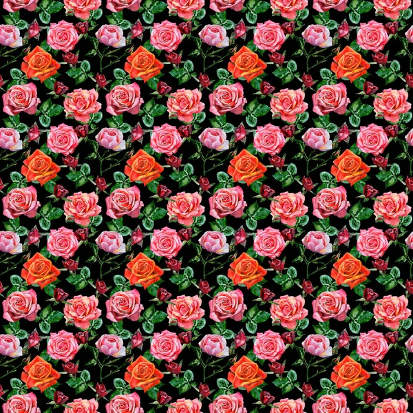 Kır çiçeği gül çiçek deseni suluboya tarzında.