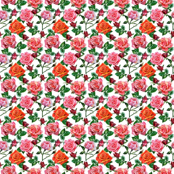 Kır çiçeği gül çiçek deseni suluboya tarzında.