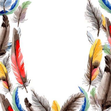 Suluboya kuş kanat tüy çerçevesinden.