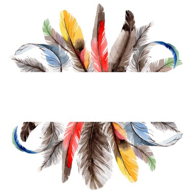 Suluboya kuş kanat tüy çerçevesinden.