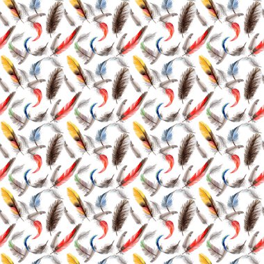 Suluboya kuş tüyü desen Wing .