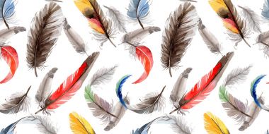 Suluboya kuş tüyü desen Wing .