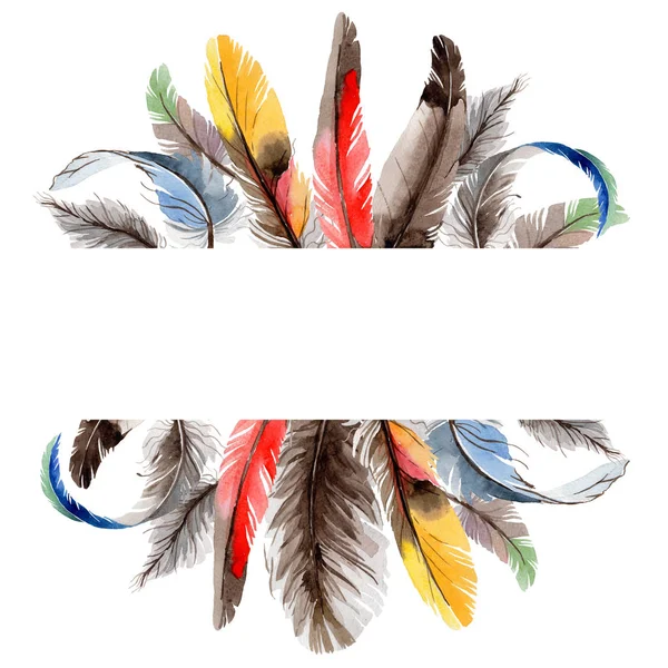 Suluboya kuş kanat tüy çerçevesinden.