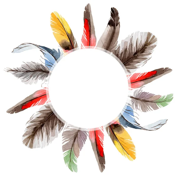 Suluboya kuş kanat tüy çerçevesinden.