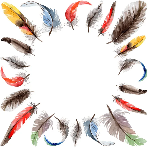 Suluboya kuş kanat tüy çerçevesinden.