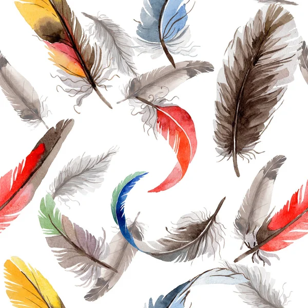 Suluboya kuş tüyü desen Wing .