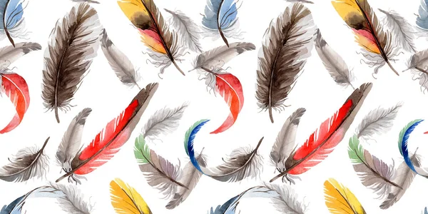 Watercolor bird feather pattern from wing . — Stock Photo, Image