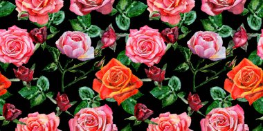 Kır çiçeği gül çiçek deseni suluboya tarzında.