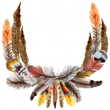 Suluboya kuş tüyü çelenk Wing.