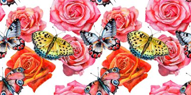 Kır çiçeği gül çiçek deseni suluboya tarzında.