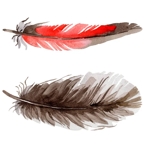Feather Birds Stock Illustrations – 48,462 Feather Birds Stock