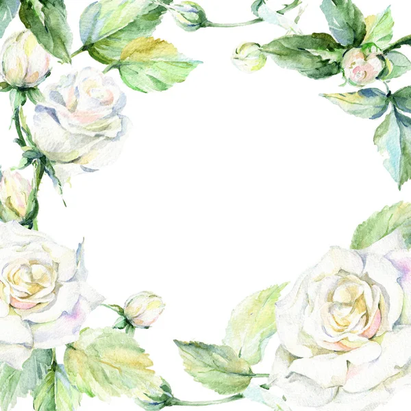 Wildflower rose flower frame in a watercolor style. — Stock Photo, Image