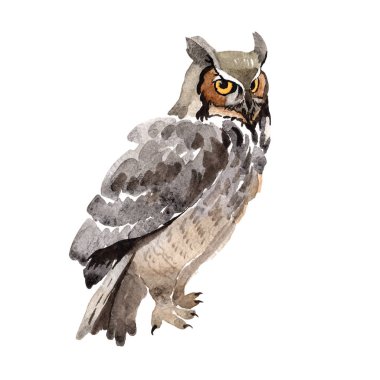 Gökyüzü kuş baykuş suluboya Style izole bir yaban hayatı içinde.