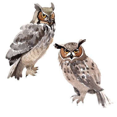 Gökyüzü kuş baykuş suluboya Style izole bir yaban hayatı içinde.