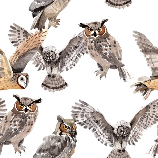 Sky fågel Uggla mönster i ett djurliv av akvarell stil. — Stockfoto