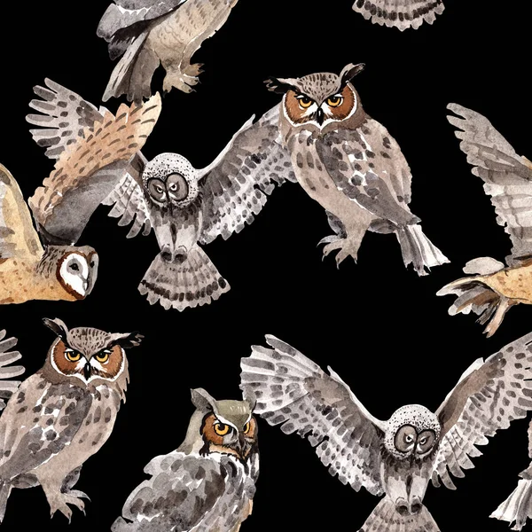 Gökyüzü kuş baykuş desende bir yaban hayatı suluboya stili tarafından.