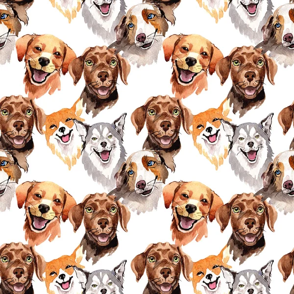 Exotic dog wild animal pattern in a watercolor style. — Stock Photo, Image