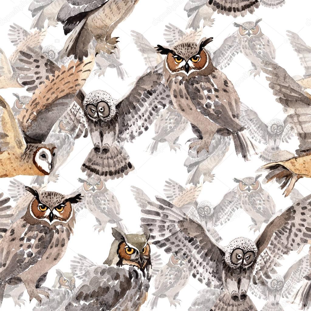 Sky bird owl pattern in a wildlife by watercolor style.